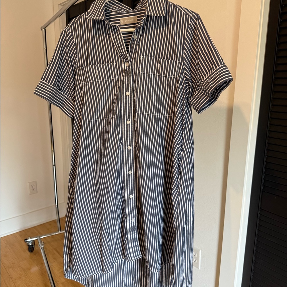Everlane Navy Striped Button Down Shirt